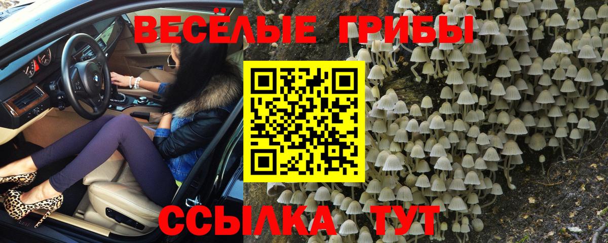 Псилоцибиновые грибы GOLDEN TEACHER Лениногорск
